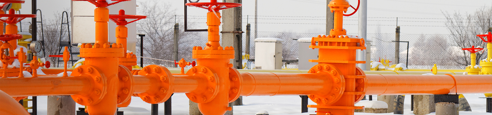 Shafer™ Actuator Winterization and Preventive Maintenance